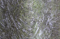 Carlton Colville fibreglass roof work